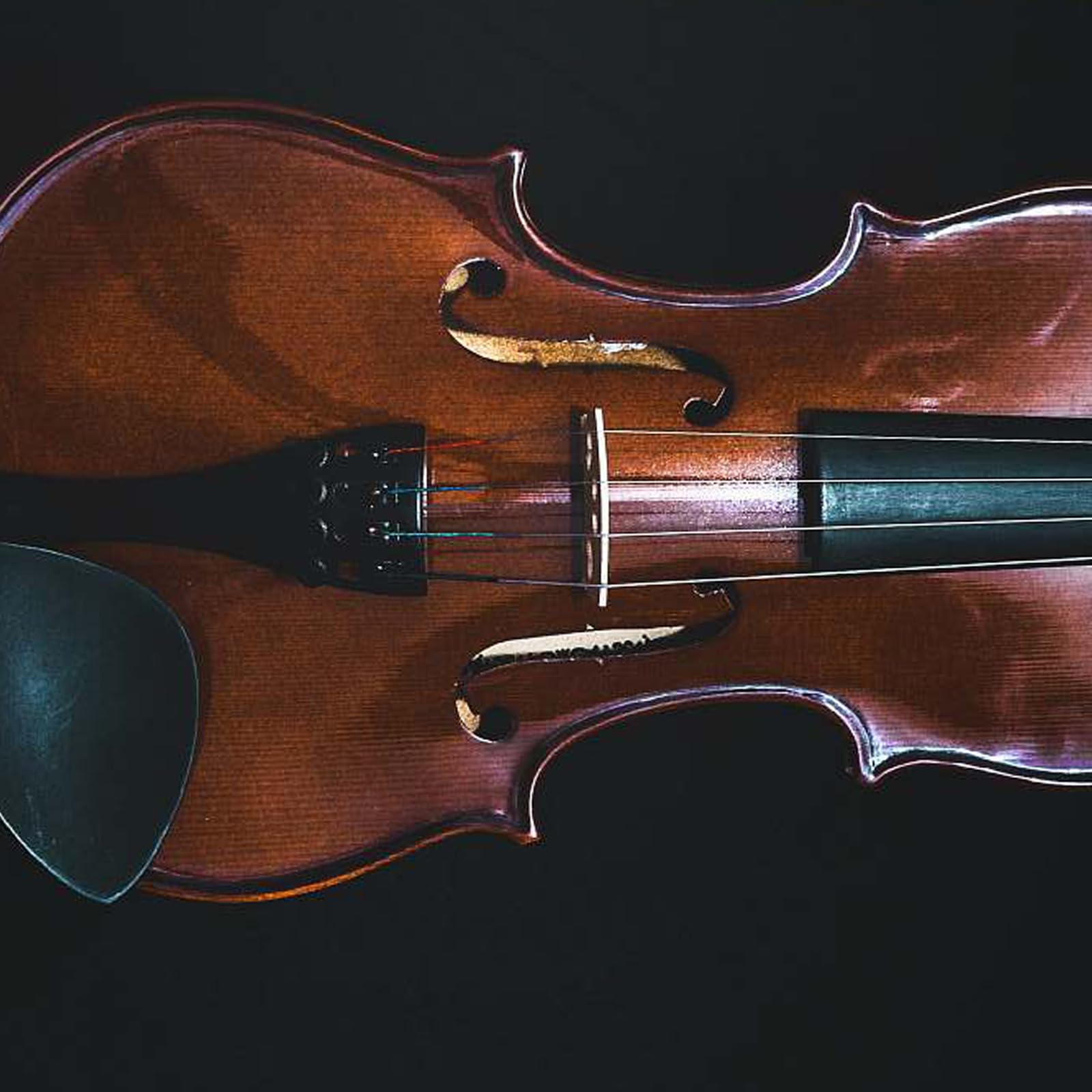 Amazon.com: Alice Viola String, Viola 4/4 Full Strings Set Amazon.com: Alice Viola String, Viola 4/4 Full Strings Set